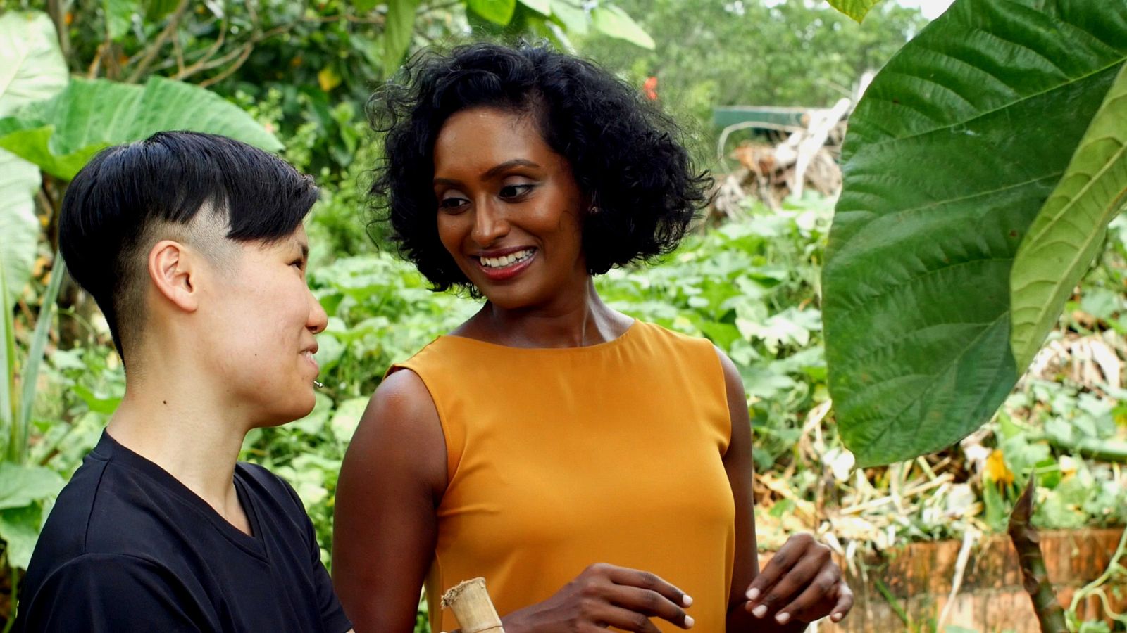 Naturaleza comestible - Episodio 1: Recolección - ver ahora