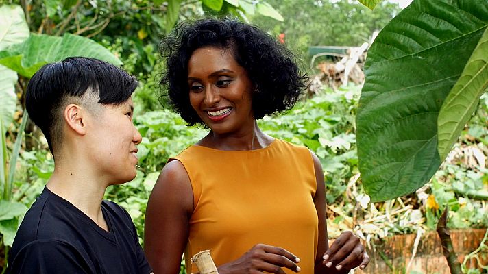 Naturaleza comestible - Recolección