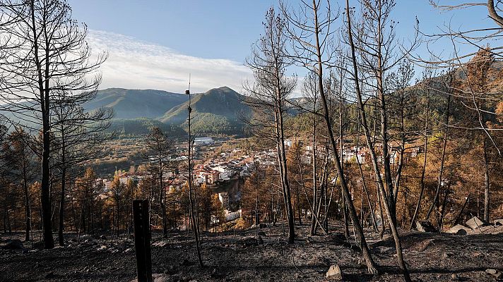 L'informatiu - Comunitat Valenciana - El riesgo de incendio sigue siendo muy elevado en la Comunitat Valenciana
