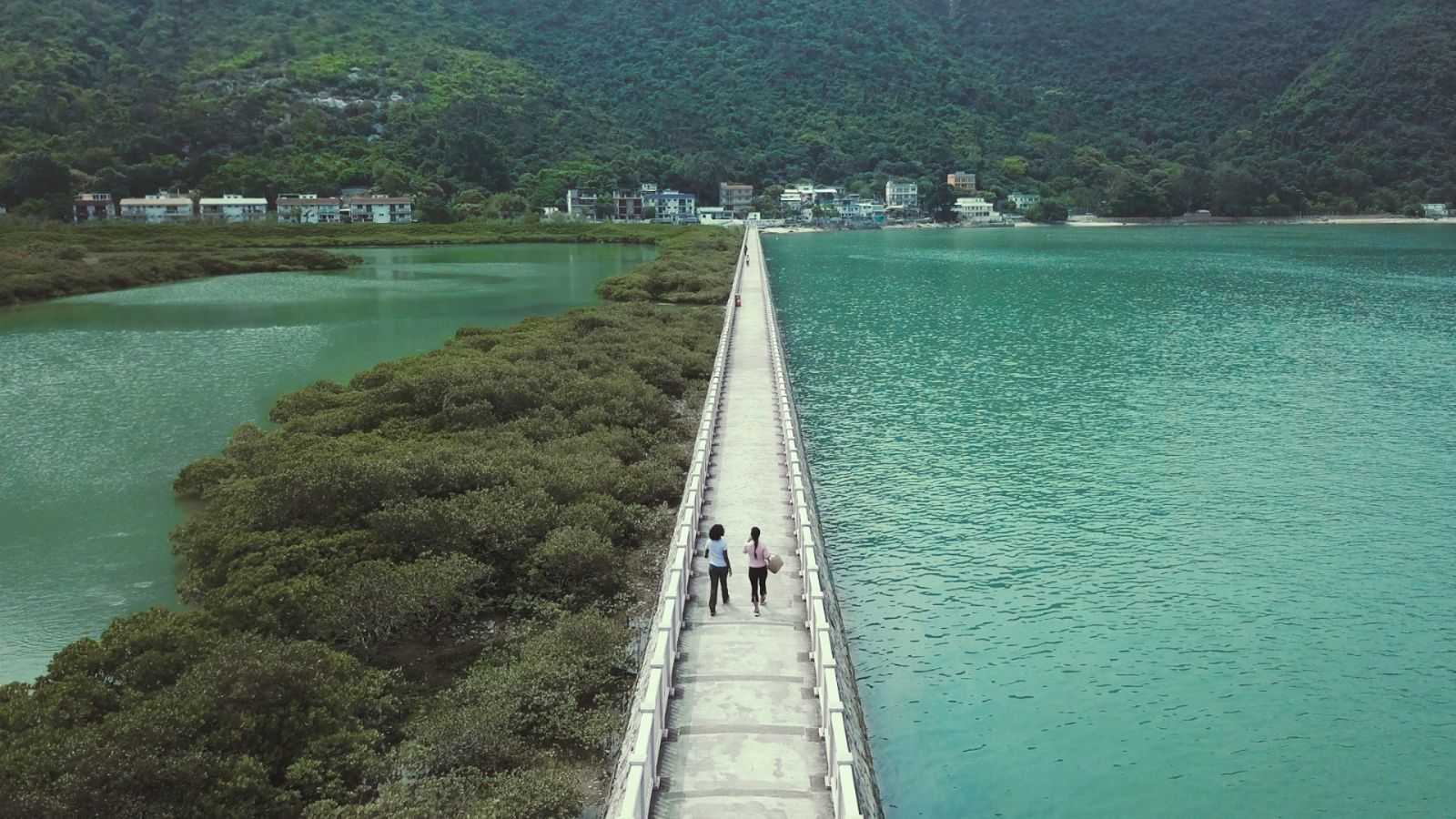 Naturaleza comestible - Episodio 3: Hong Kong - ver ahora