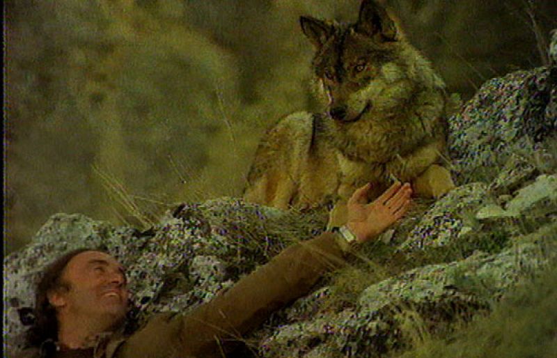 Este año se cumplen 30 años de la muerte de Félix Rodríguez de la Fuente