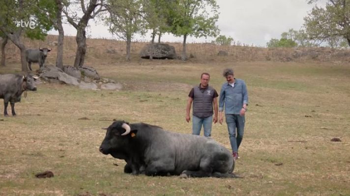 Ahora o nunca - Programa 72