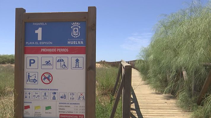 Noticias Andalucía - Andalucía consigue 148 banderas