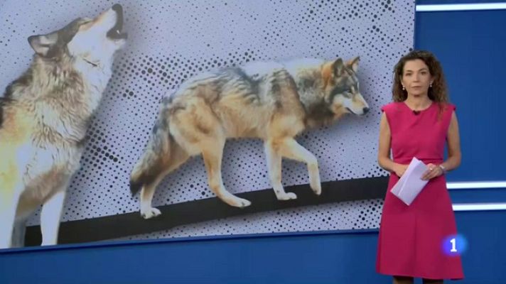 Informativo Telerioja - Informativo Telerioja  - 05/05/23