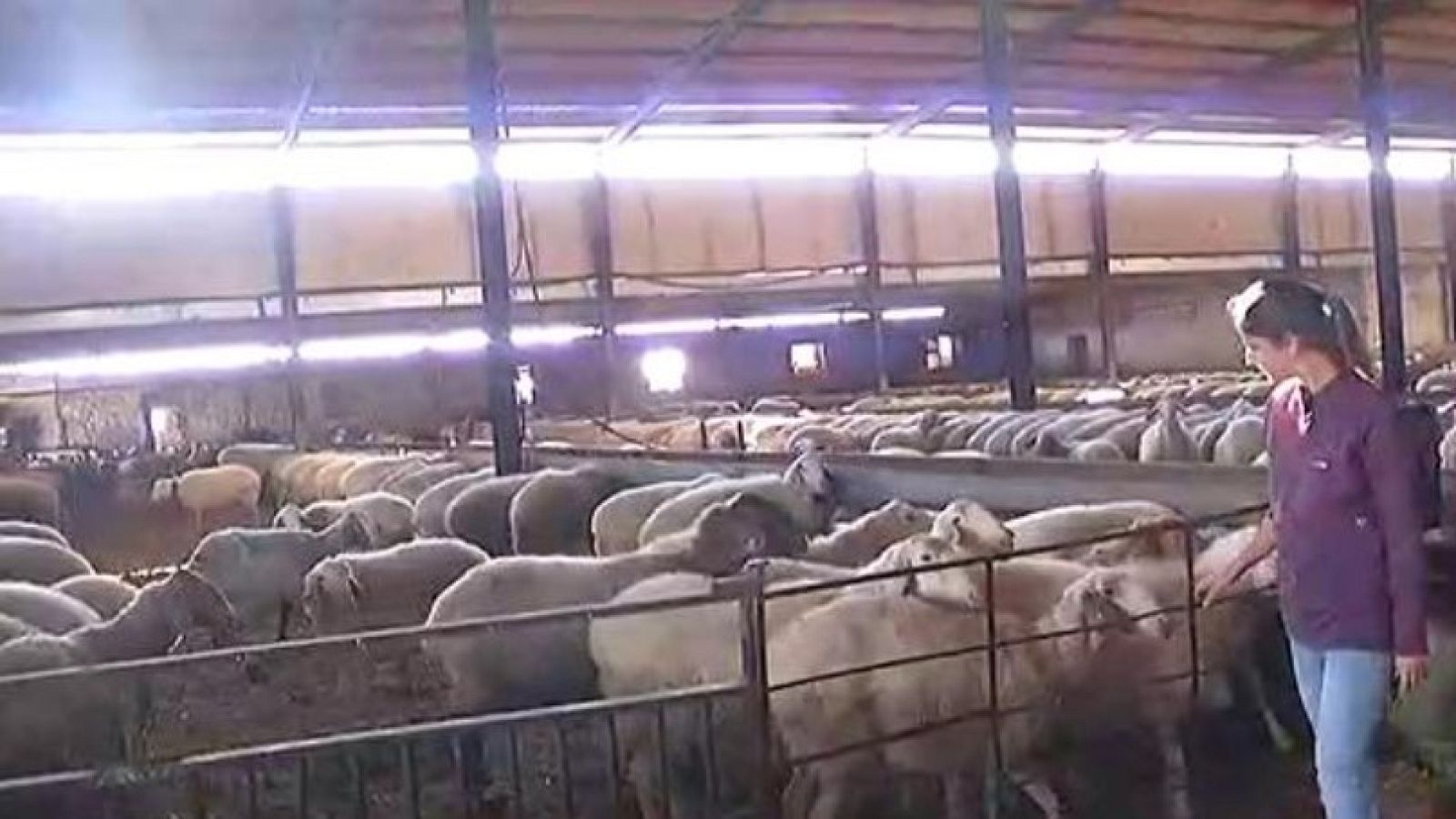 Sólo 30 de 600 cooperativas están presididas por mujeres en Castilla La Mancha