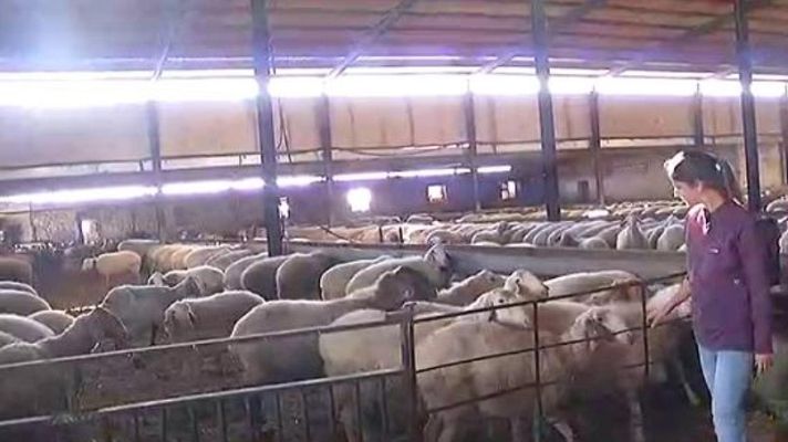 RTVE Igualdad - Sólo 30 de 600 cooperativas están presididas por mujeres en Castilla La Mancha