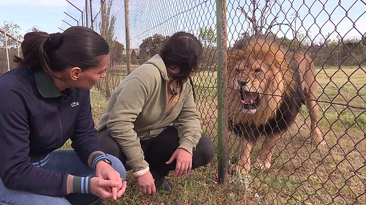 Comando Actualidad - Alguien tiene que hacerlo