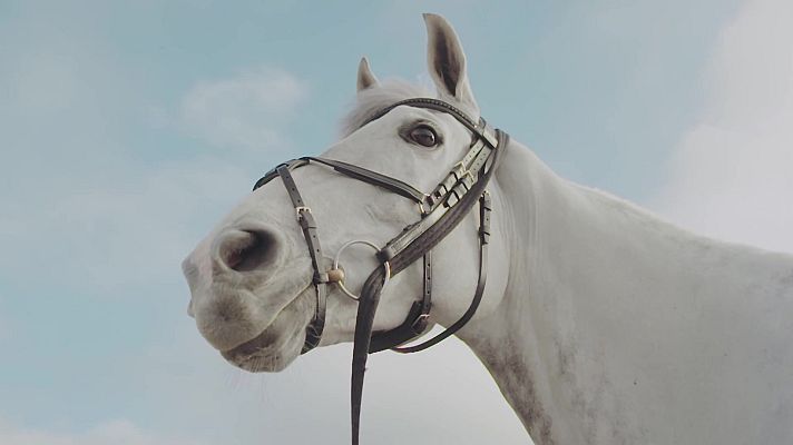 Ride - Programa FEI Ride. Episodio 9