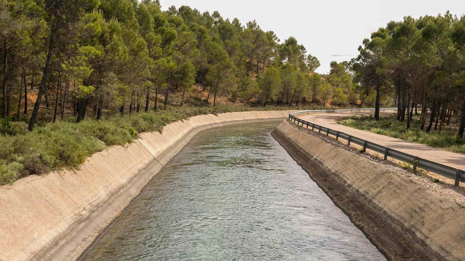 Telediario - 8 horas - 11/05/23 - ver ahora
