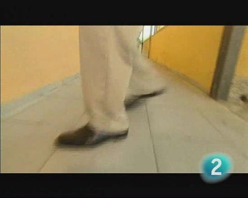 Palabra por palabra - Reportaje baile