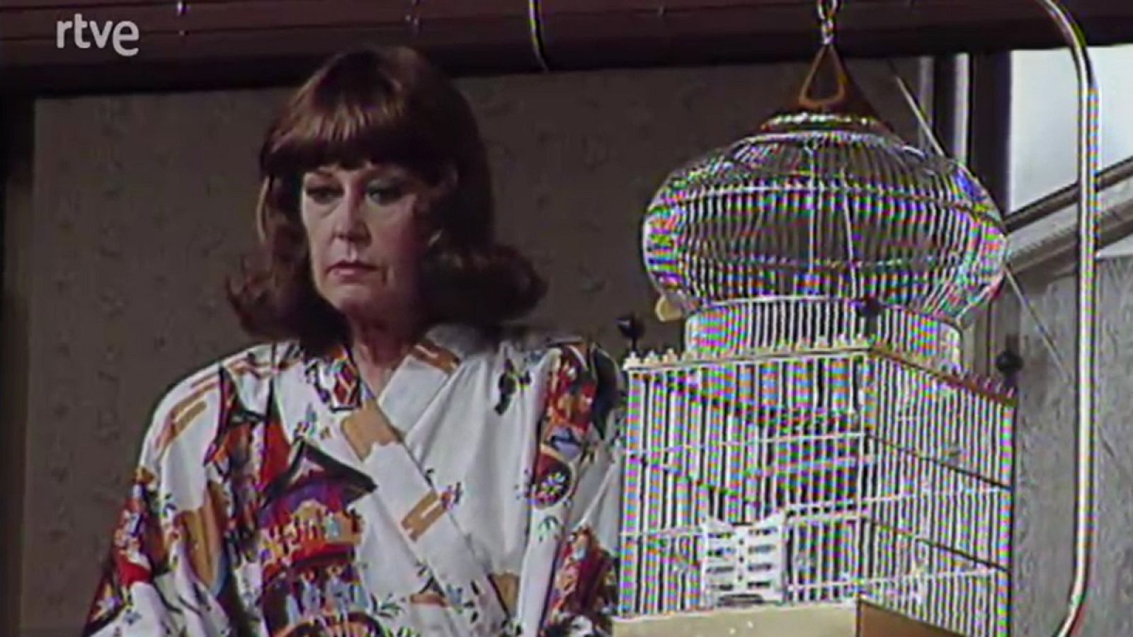 Carmen y familia - Vemos muchos culebrones - Carmen y familia | Ver