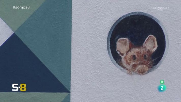 Somos 8 - Somos 8 - 11/05/2023