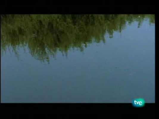 Agua, la gota de la vida - Agua