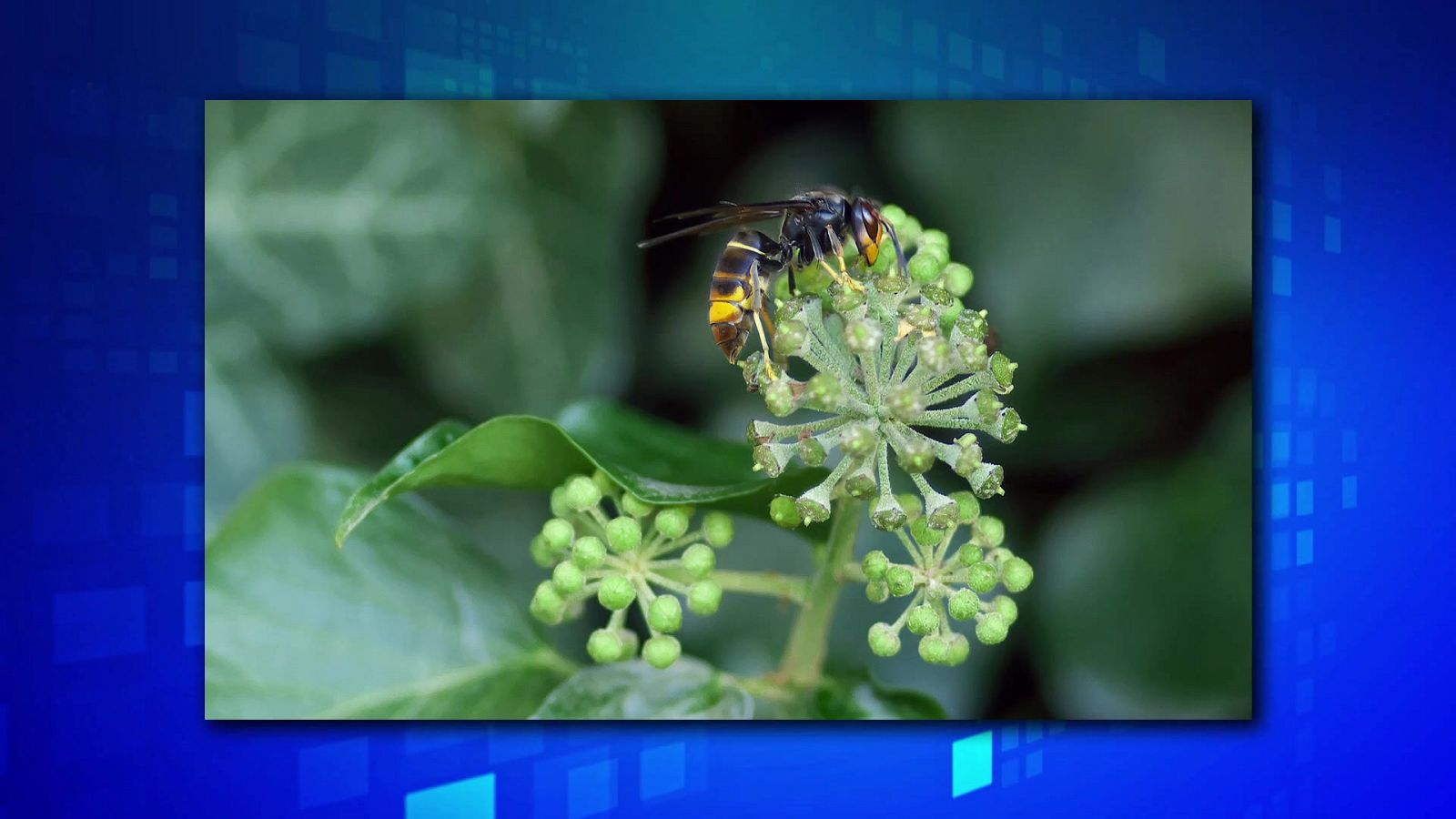 Saber y ganar. Edición de fin de semana - 13/05/23 - ver ahora
