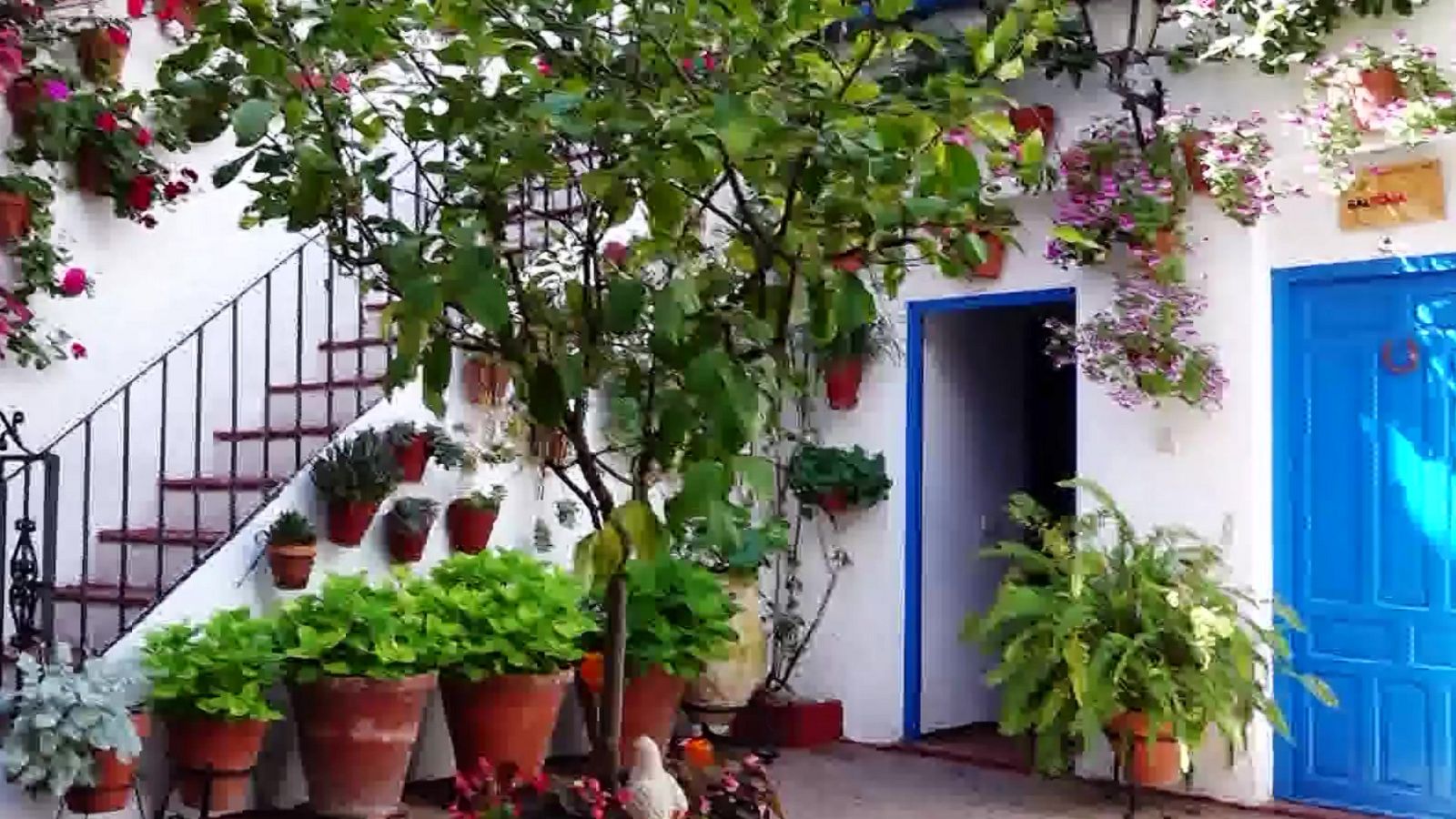 Zoom Tendencias - 14/05/23 - ver ahora