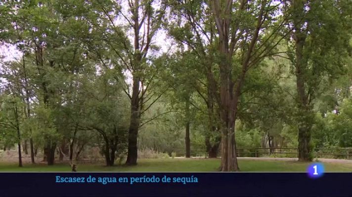 Informativo Telerioja - Informativo Telerioja  - 15/05/23