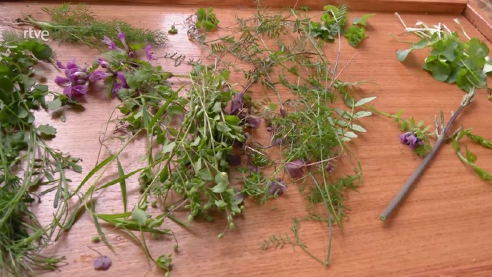 ¡Estas plantas son comestibles y no lo sabías! - Ahora o nunca | Ver