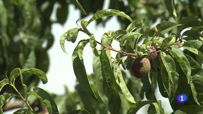 L'Informatiu - L'Informatiu - 18/05/2023