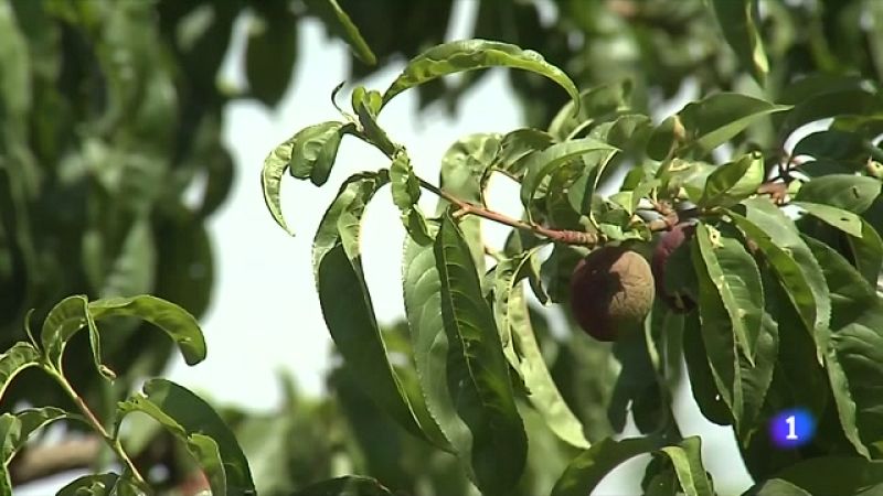 L'Informatiu - 18/05/2023 - veure ara