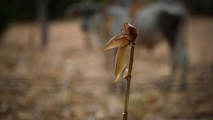 Telediario 2 - El arte, el agua y la sequía conectados a través de la historia