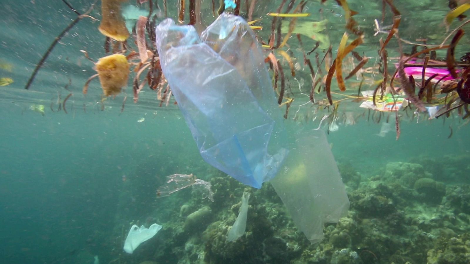 Para todos La2 - 13/05/23 - Lengua de signos - ver ahora
