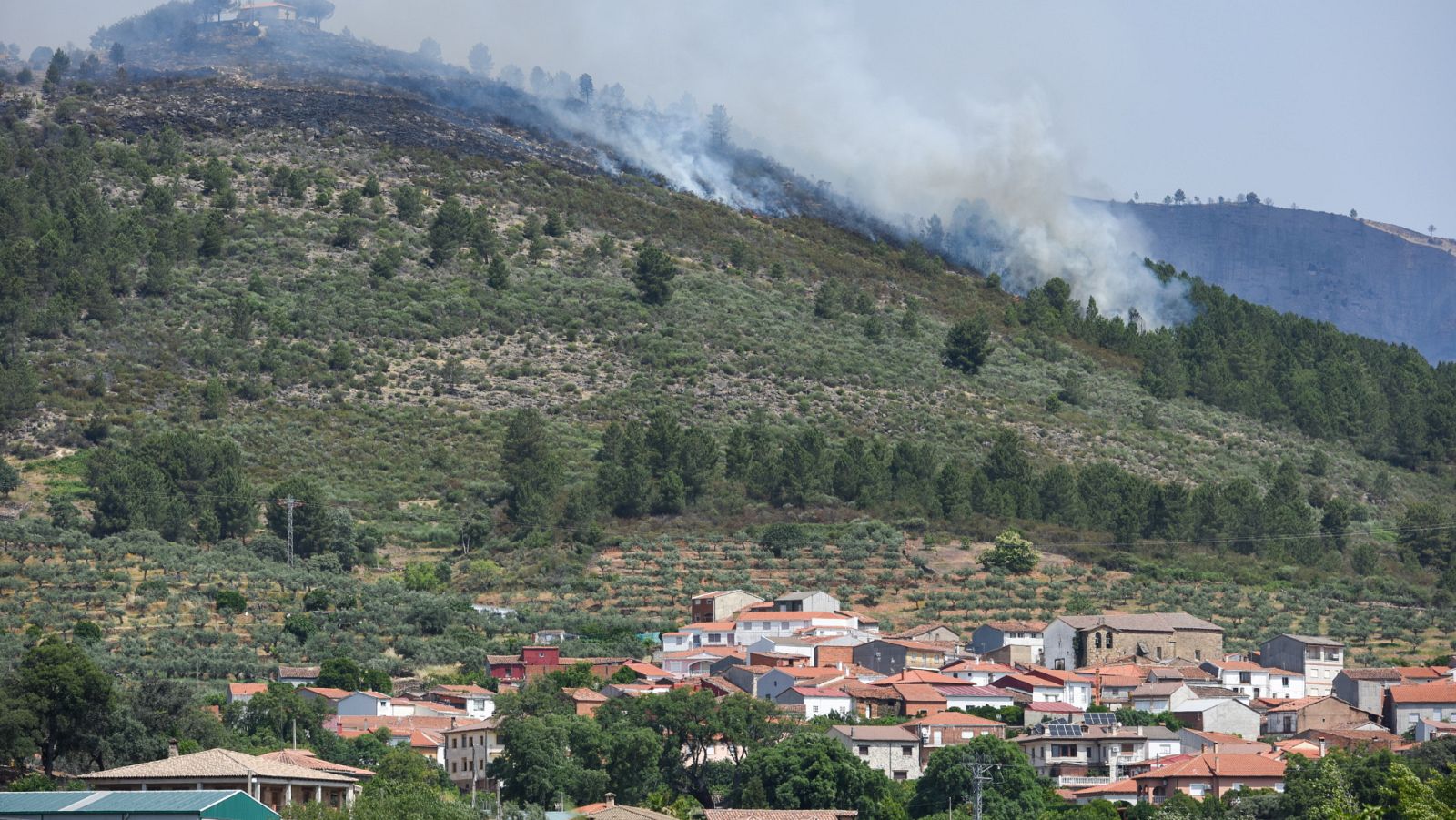Diario 24 - 19/05/23 - ver ahora