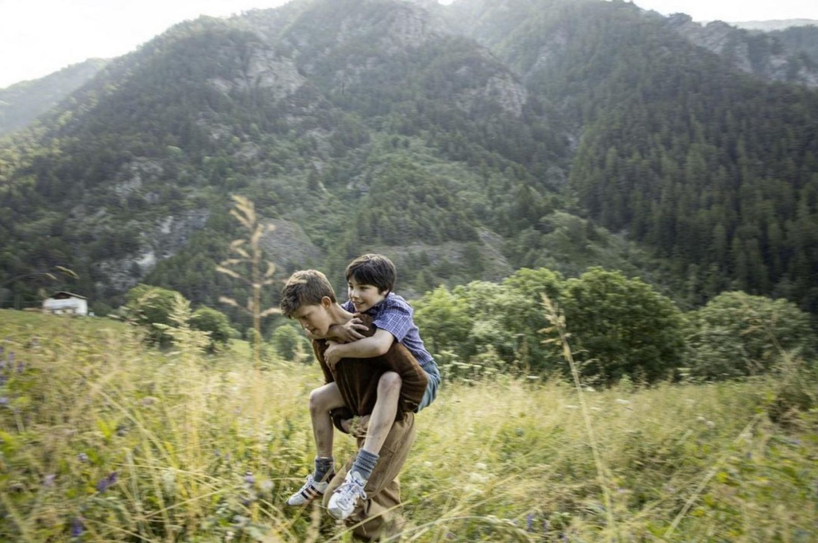 Días de Cine:  Lass 8 montañas. | Ver