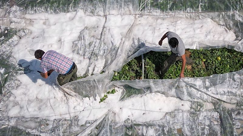 Una fuerte granizada arrasa los cultivos de Los Palacios y Villafranca, en Andalucia