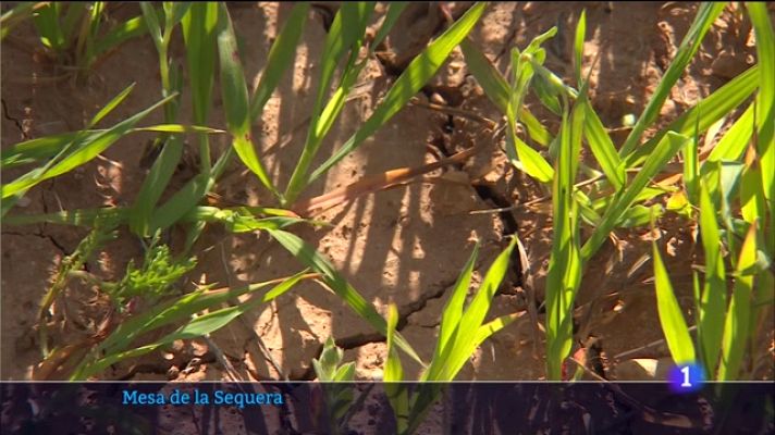 Informatiu Balear - Informatiu Balear 2 - 19/05/23