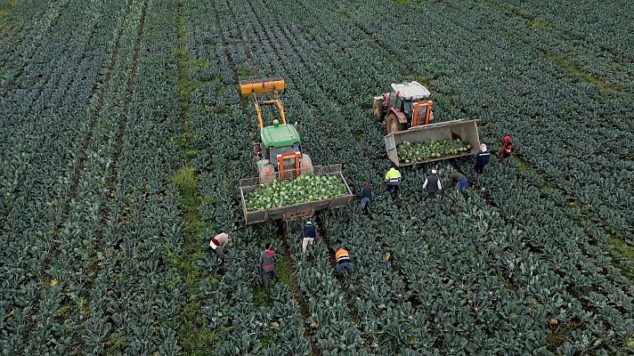 Agrosfera - Agrosfera - 20/05/23