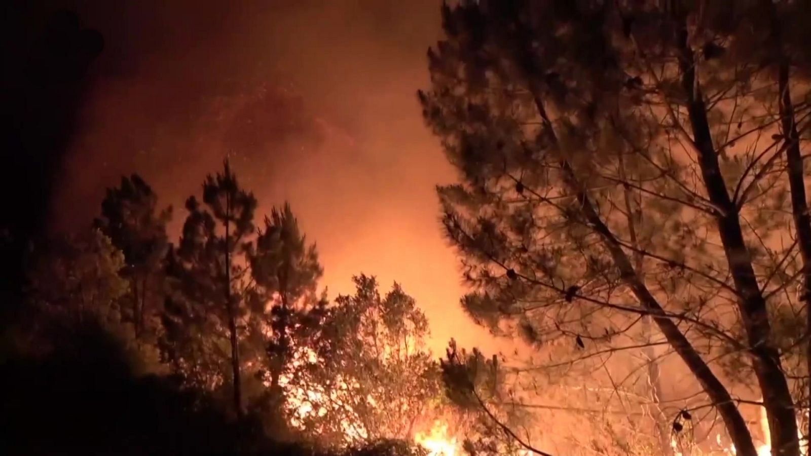 Telediario - 21 horas - 20/05/23 - Lengua de signos - ver ahora