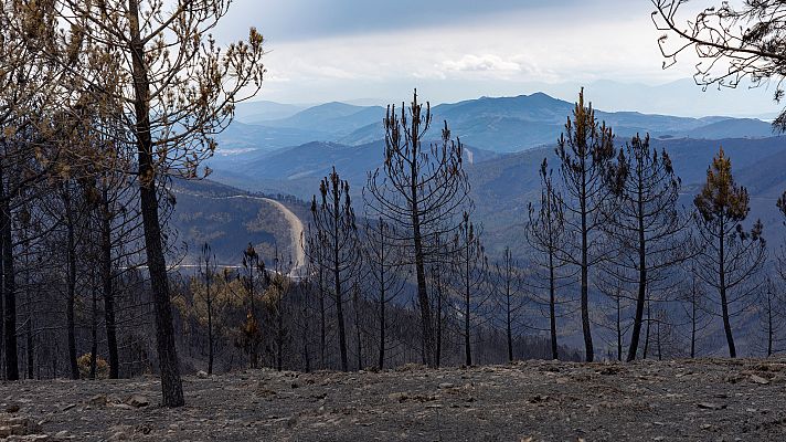Telediario Fin de Semana - El incendio de Las Hurdes se estabiliza, pero preocupan las reactivaciones