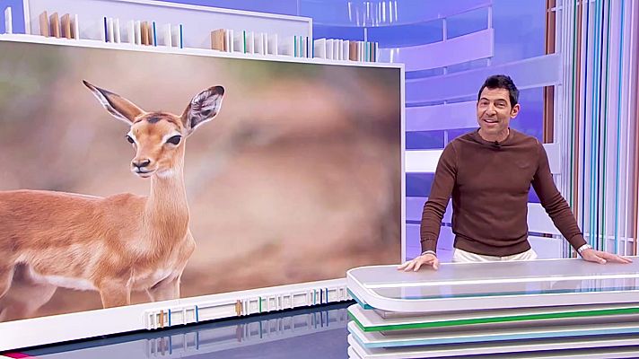 Aquí la Tierra - Aquí la Tierra - 21/05/23