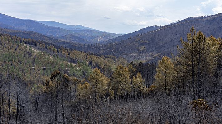 Telediario en lengua de signos - Telediario - 21 horas - 21/05/23 - Lengua de signos