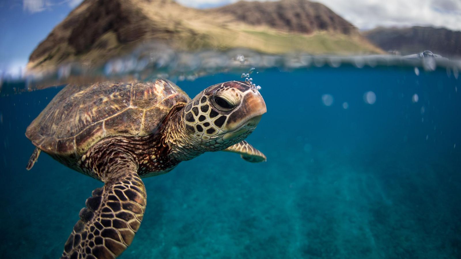 Día internacional de la Biodiversidad: una jornada de concienciación por la conservación
