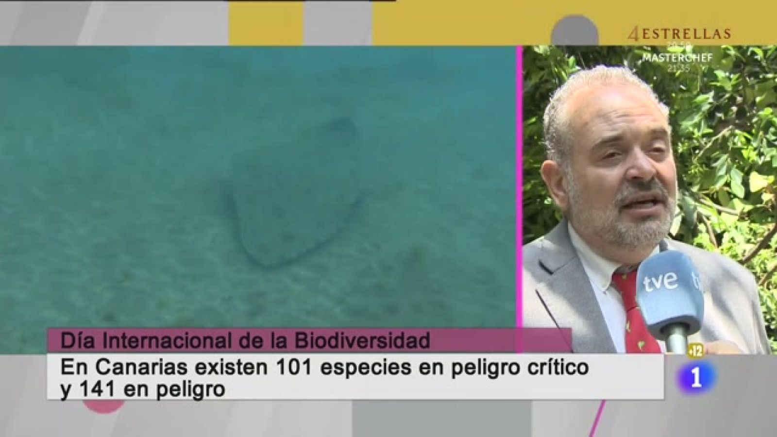 Cerca de ti - 22/05/2023