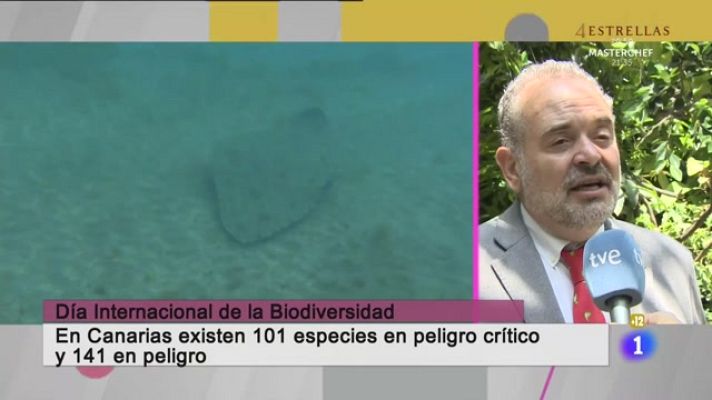 Cerca de ti - Cerca de ti - 22/05/2023