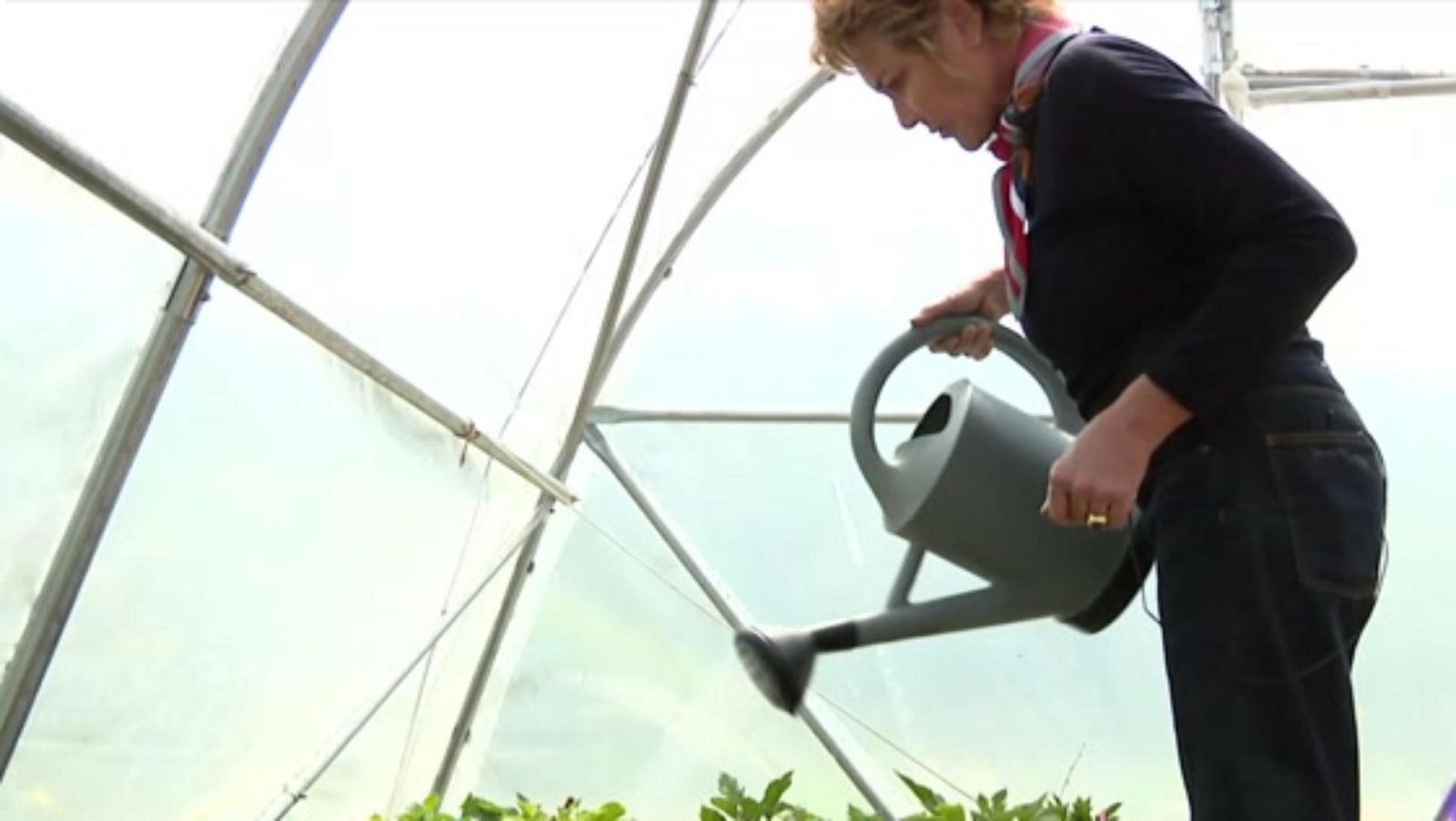 'Tocar tierra', una biografía vegetal