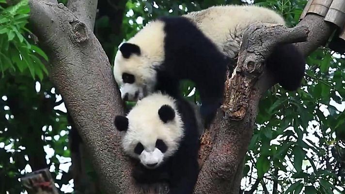 Aquí la Tierra - Estrena nueva imagen