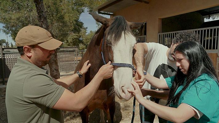 Ruralitas - Las Fuentes y El Salado