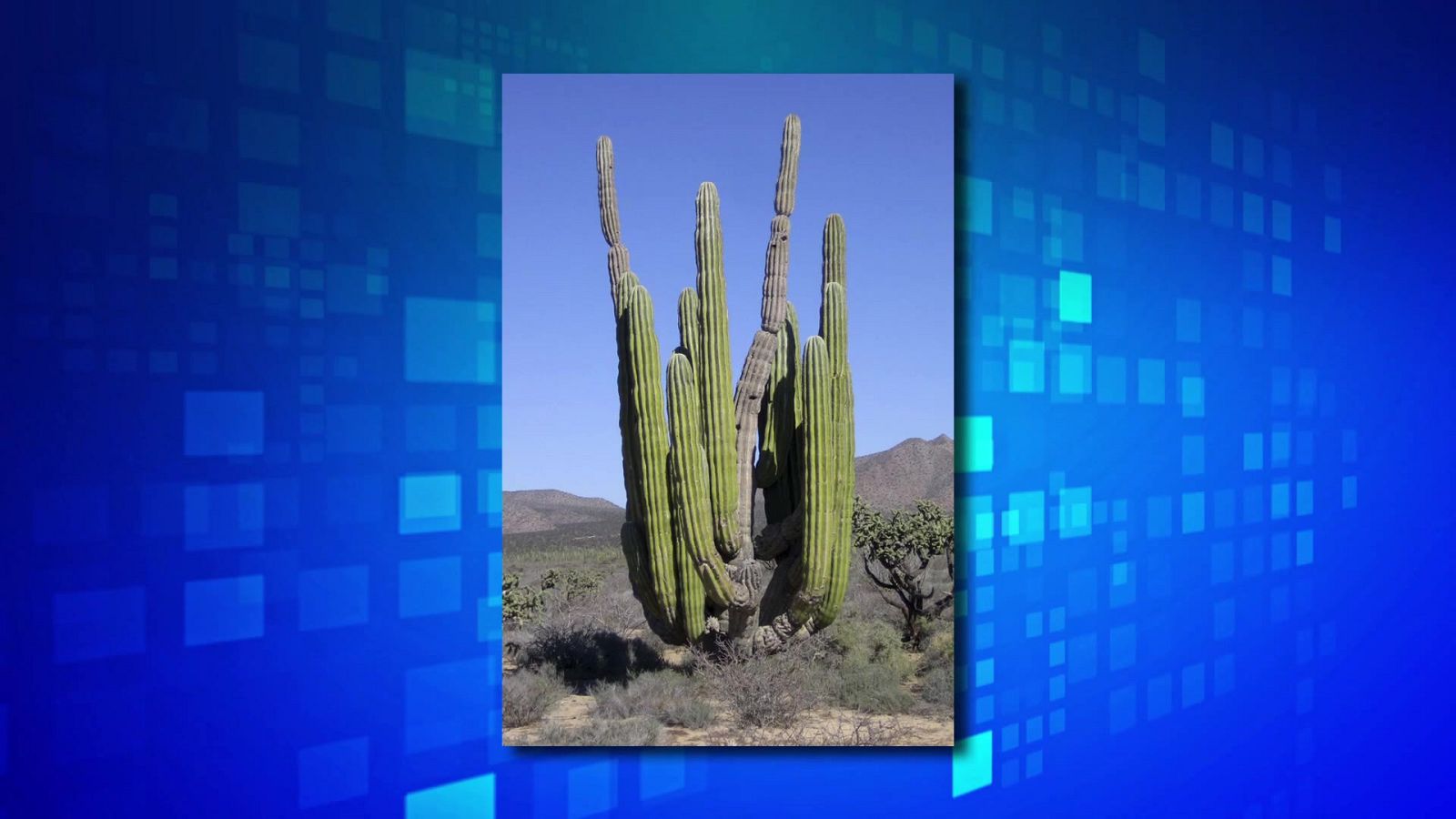 Saber y ganar - 23/05/23 - ver ahora