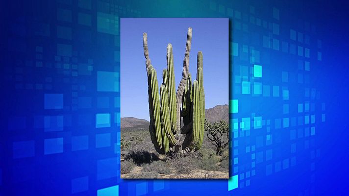 Saber y ganar - Saber y ganar - 23/05/23