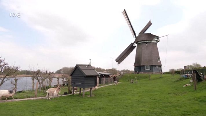 Aquí la Tierra - El mítico Molino de Pólder en los Países Bajos