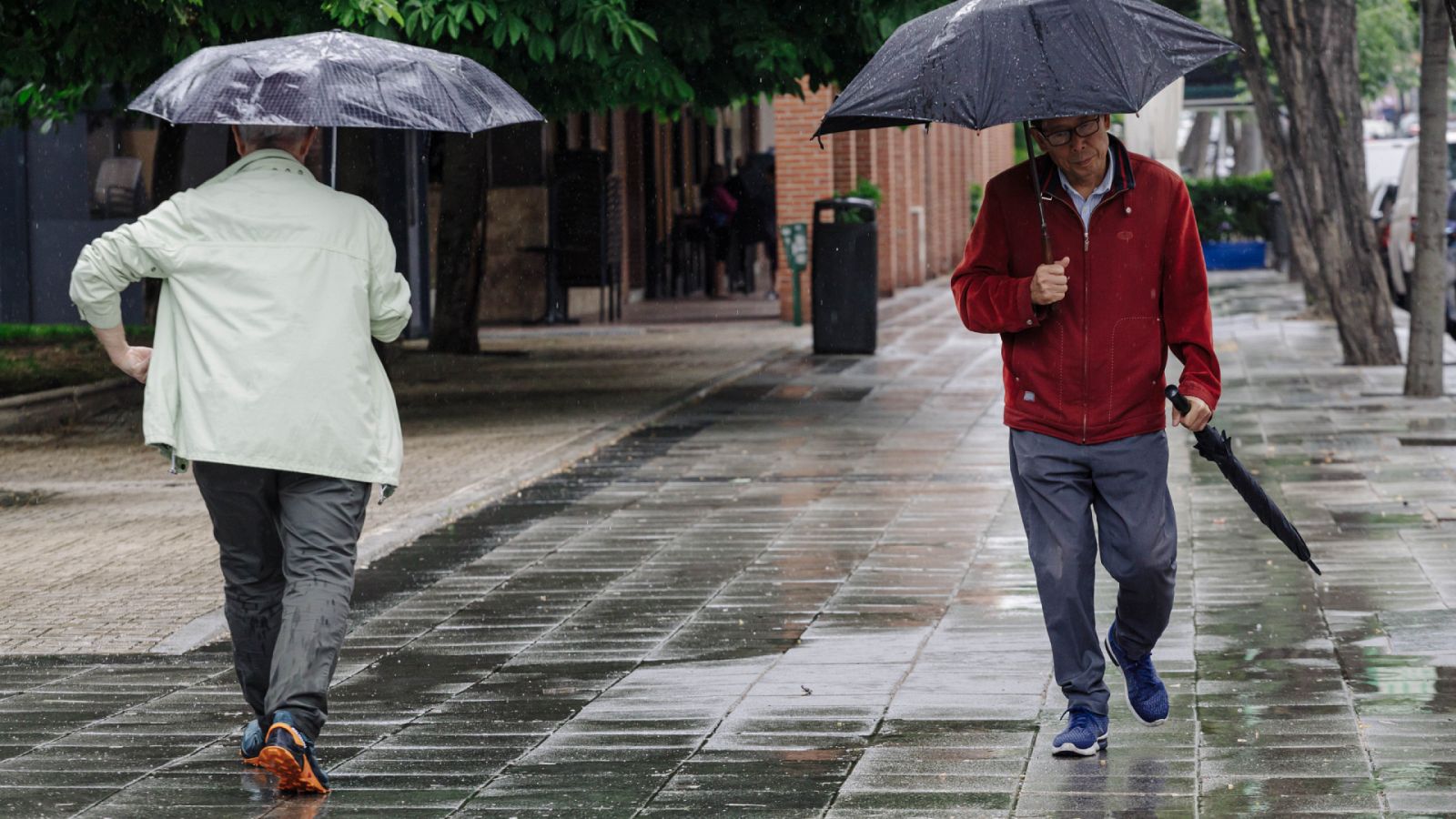 Meteorosensibilidad, cuando las condiciones climatológicas afectan psicológica y físicamente | Ver