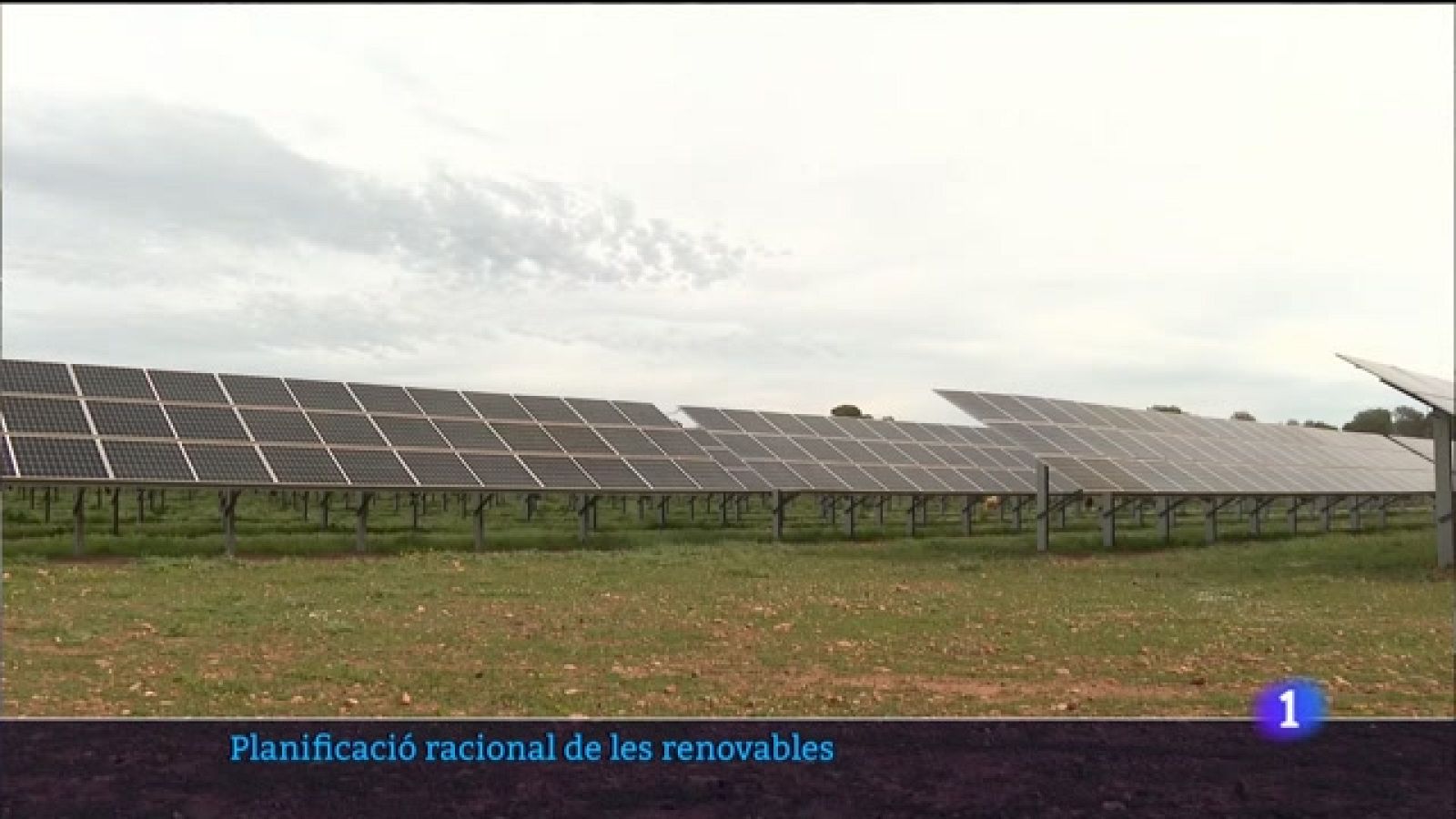 Informatiu Balear 2 - 25/05/23 - Veure ara