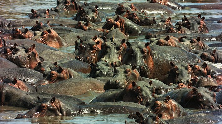Somos Documentales - El desierto inundado