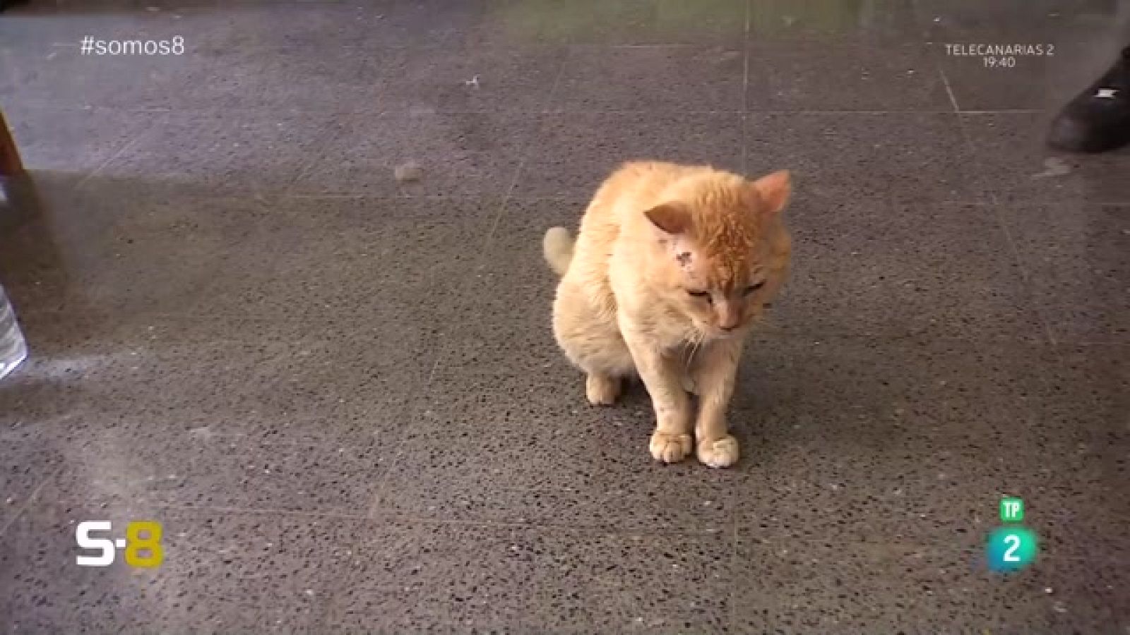 Somos 8 - 26/05/2023