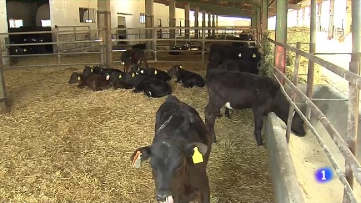 L'Informatiu - La ramaderia extensiva també vol ajudes