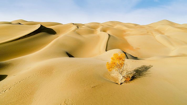 El planeta verde - Mundos desérticos