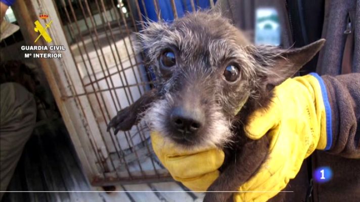 Informativo Telerioja - Informativo Telerioja 2 - 30/05/23